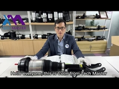 मर्सिडीज बेंज W166 फ्रंट एयर सस्पेंशन शॉक अवशोषक OE नंबर 1663201313 1663201413