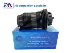 टेक मास्टर पोर्श पनामामेरा रियरबाएं और दाएं एयर सस्पेंशन स्प्रिंग्स