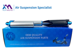 टेक मास्टर फोर्ड F150 रियर एयर सस्पेंशन शॉक एब्सॉर्बर