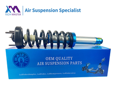 टेक मास्टर फोर्ड F150 फ्रंट एयर सस्पेंशन शॉक एब्सॉर्बर