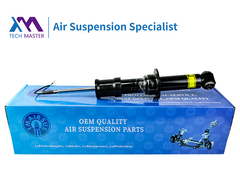 टेक मास्टर कैडिलैक एस्केलेड रियर शॉक एब्सोर्सर पूरा