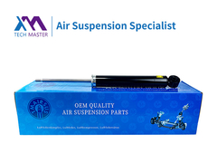 TMAIRSUS ऑडी TT/A3 रियर शॉक एब्सोर्बर 8J0513030Q