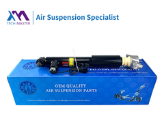 TMAIRSUS लिंकन MKZ रियर शॉक एब्सॉर्बर ASSY 1015620-00-A