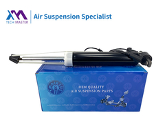 TMAIRSUS Lincoln MKZ ADS EG9Z18125A के साथ रियर राइट शॉक एब्सोर्बर