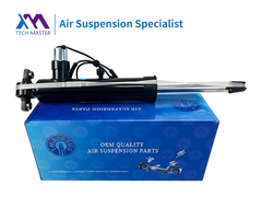 TMAIRSUS लिंकन MKX ADS F2GZ18125G के साथ रियर राइट शॉक एब्सोर्बर