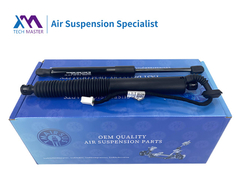 टेस्ला मॉडल 3 2021-2023 1551488-99-बी के लिए TMAIRSUS पावर लिफ्टगेट