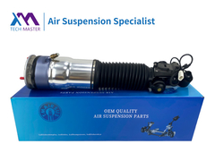 टेक मास्टर TMAIRSUS बीएमडब्ल्यू F02 F01 37126791675 के लिए रियर लेफ्ट एयर शॉक