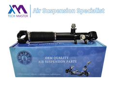 टेक मास्टर TMAIRSUS लेक्सस GX460 48885-60030 के लिए रियर शॉक एब्सॉर्बर