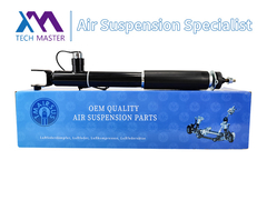 टेक्नॉलजी मास्टर TMAIRSUS शॉक एब्सॉर्बर लिंकन MKT ASH24635 के लिए