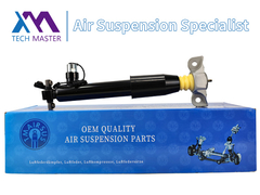 टेक मास्टर TMAIRSUS लिंकन MKX F2GZ18125Z के लिए रियर लेफ्ट शॉक एब्सॉर्बर स्ट्रट