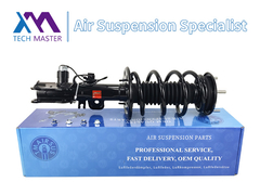 टेक मास्टर TMAIRSUS लिंकन MKT फ्रंट लेफ्ट शॉक एब्सॉर्बर पूरा AST18205