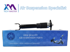 कैडिलैक C5 22248830 के लिए रियर शॉक एब्सॉर्बर स्ट्रट एब्सॉर्बर