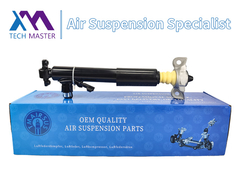 टेक्नॉलजी मास्टर TMAIRSUS लिंकन MKT DE9Z18125A के लिए रियर राइट शॉक एब्सॉर्बर