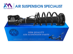 टेक्निकल मास्टर TMAIRSUS फ्रंट राइट शॉक एब्सॉर्बर लिंकन MKX F2GZ-18124-AT के लिए