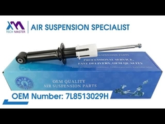टेक मास्टर TMAIRSUS ऑडी Q7 VW पोर्श 7L8513029 के लिए रियर कॉइल स्प्रिंग शॉक