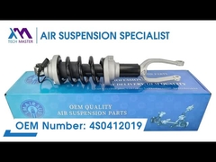 टेक मास्टर TMAIRSUS फ्रंट लेफ्ट शॉक एबोर्बर के लिए ऑडी R8 4S के साथ ADS 4S0412019