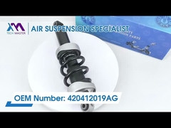 टेक मास्टर TMAIRSUS ADS 420412019AG के साथ बाएं ऑडी R8 के लिए फ्रंट शॉक एबोर्बर