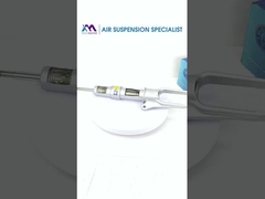 पोर्श पैनमेरा 97034305215; 97034305115 के लिए एयर सस्पेंशन डम्पर का अनुभाग दृश्य