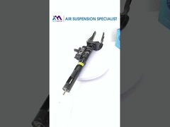 BENZ W166 1663201313 के लिए फ्रंट एयर सस्पेंशन डम्पर का सेक्शन दृश्य