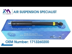 टेक मास्टर TMAIRSUS मर्सिडीज-बेंज R171 1713260200 के लिए रियर कॉइल स्प्रिंग शॉक