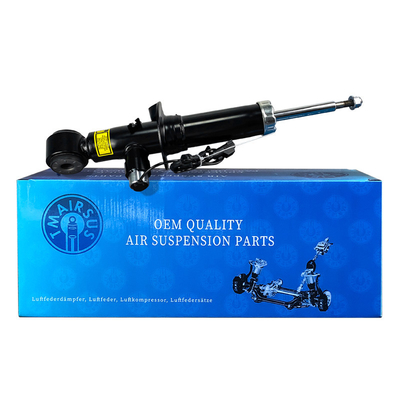 OEM मानक लिंकन नेविगेटर रियर बाएं और दाएं सदमे से अवशोषक FL1Z18124A