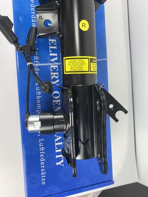 DG9Z18124B फ्रंट लेफ्ट इलेक्ट्रिक शॉक एब्सॉर्बर के लिए DG9Z18124V लिंकन MKZ फोर्ड फ्यूजन EG9Z18124D 2013-2020