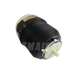 A6C6 4F0616001 4F0616001J के लिए रियर लेफ्ट / राइट एयर सस्पेंशन स्प्रिंग्स
