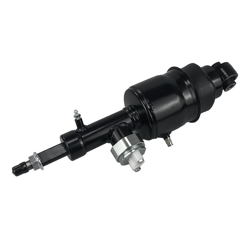 निसान पेट्रोल अर्मांडा इन्फिनिटी QX80 QX56 2010-2021 के लिए रियर एयर सस्पेंशन शॉक