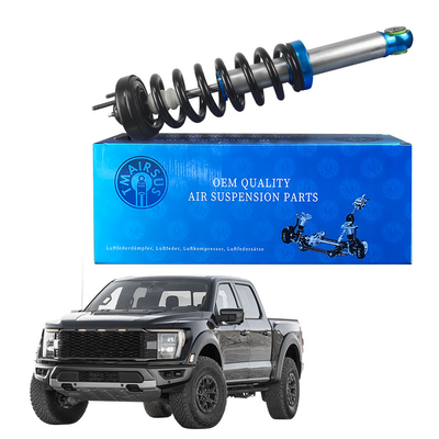 फोर्ड F150 के लिए फ्रंट शॉक एब्सॉर्बर स्ट्रोट्स बेजोड़ प्रदर्शन और स्थायित्व